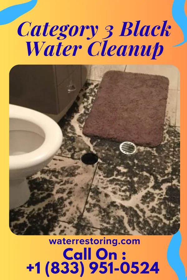 Category 3 Black Water Cleanup in Littleton, CO